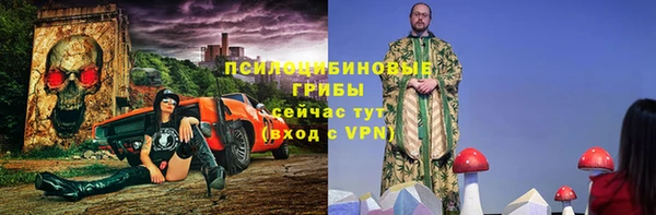 гидропоника Бугульма